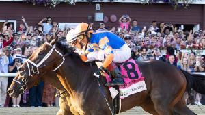 Fierceness, 2024 Longines Breeders' Cup Classic